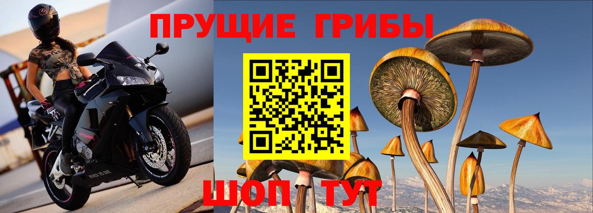 Нижнеудинск  Галлюциногенные грибы GOLDEN TEACHER  Галлюциногенные грибы MAGIC MUSHROOMS  Вход с VPN 