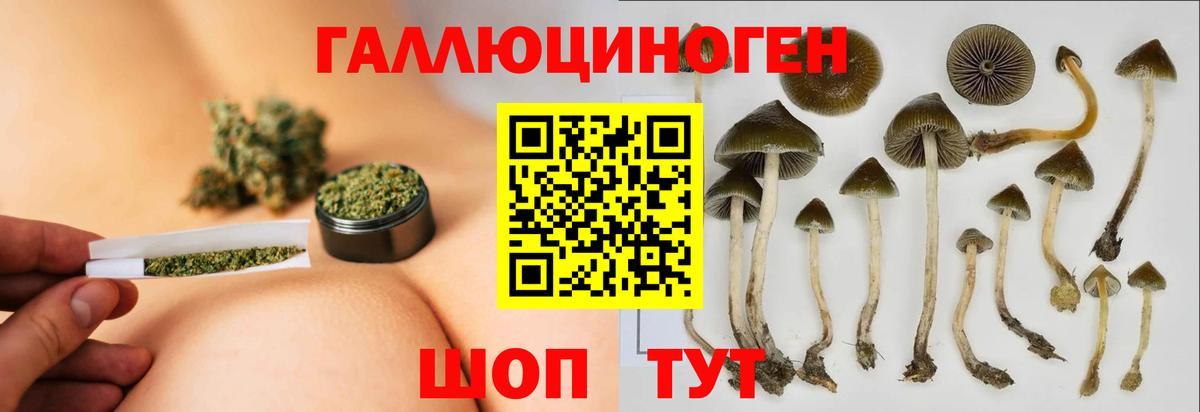 Псилоцибиновые грибы мицелий Нижнеудинск
